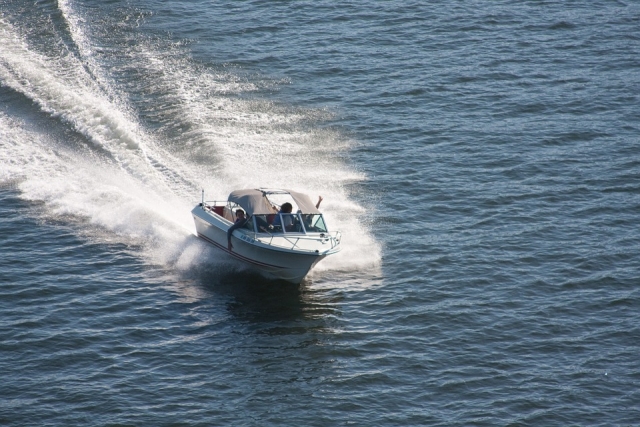  Trip in Race
